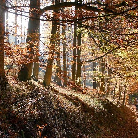 Ferienwohnung Eggeblick Altenbeken Luaran gambar